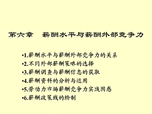 薪酬水平与薪酬外部竞争力.ppt