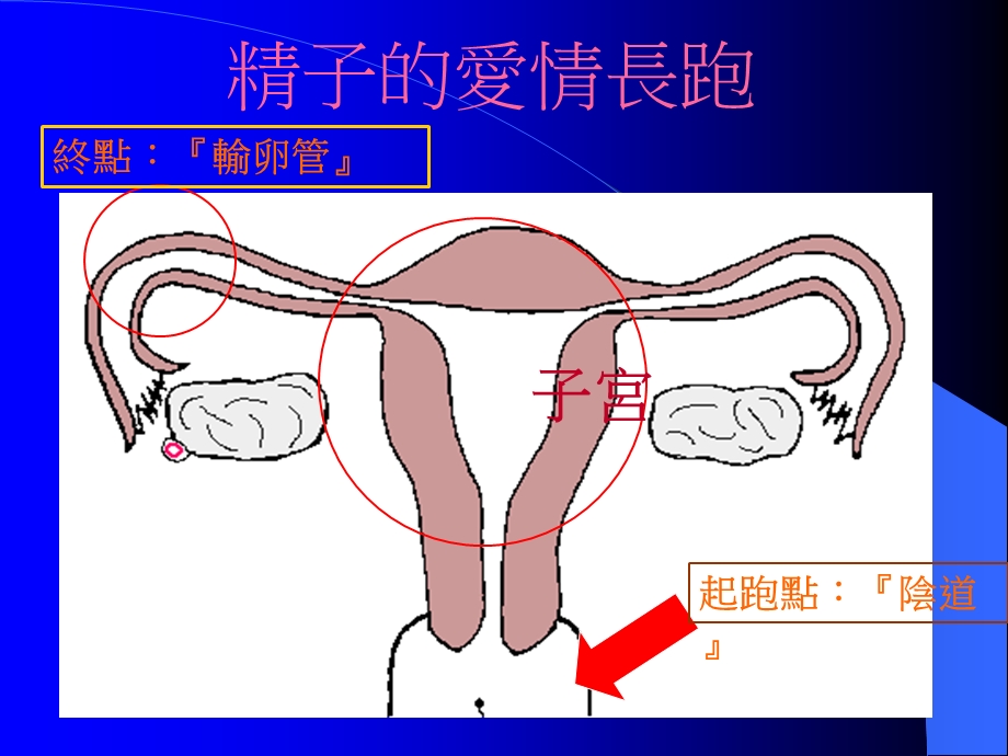 叫我第一名！.ppt_第2页