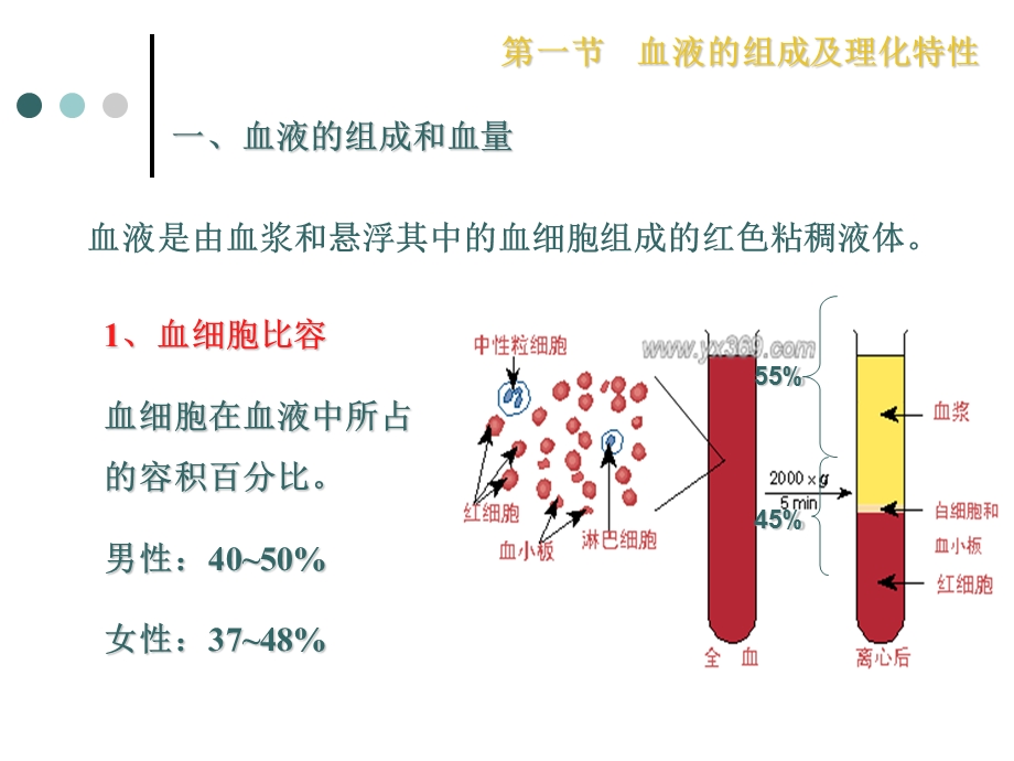 血液组成及功能.ppt_第3页