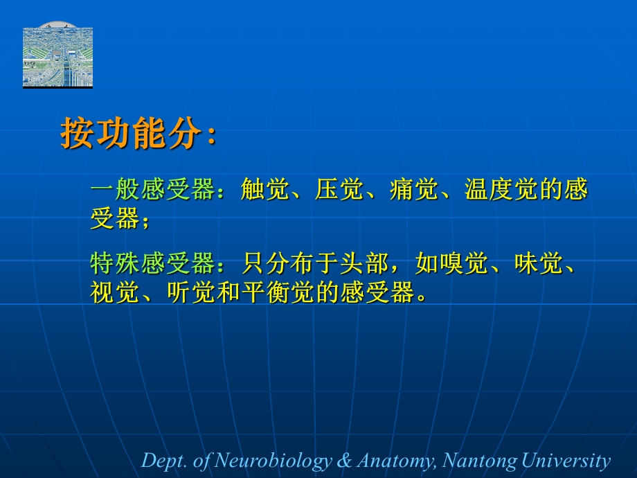 眼睛结构详细图解.ppt_第3页