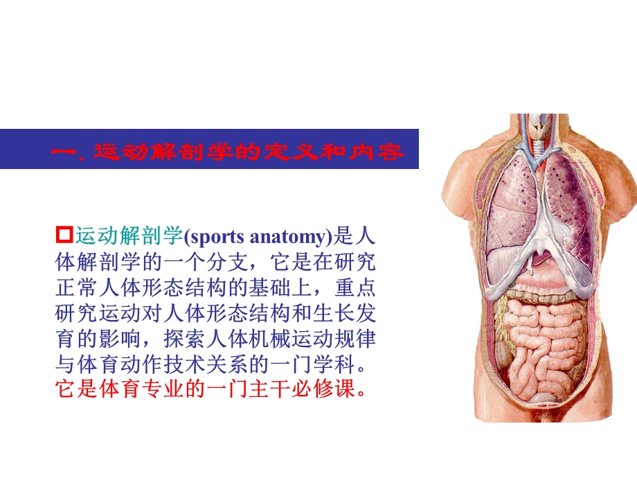 运动解剖学-绪论.ppt_第3页