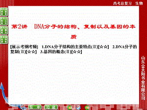 DNA分子的结构、复制以及基因的本质.ppt