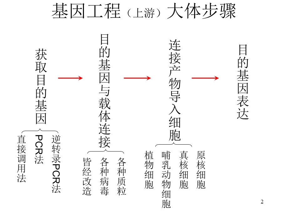 质粒图谱的阅读.ppt_第2页