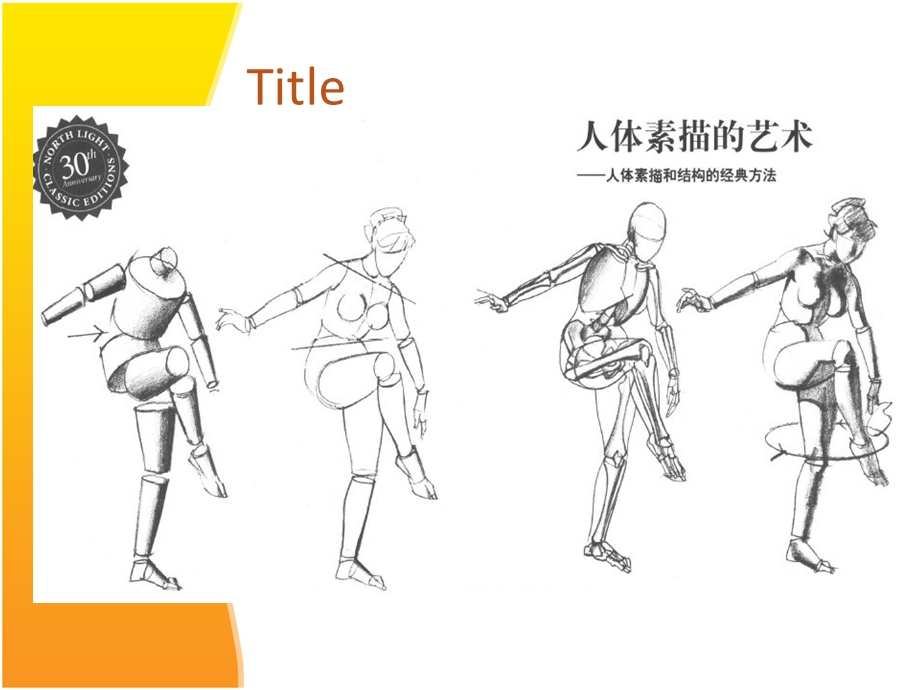 动画速写人物身体比例(整理).ppt_第3页