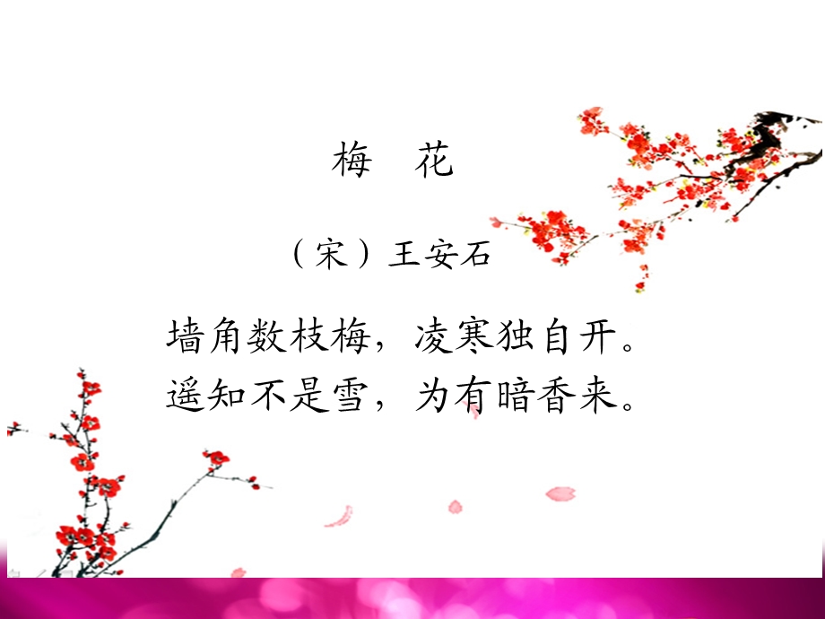 用字母表示数PPT.ppt_第2页