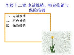 第十二章电话推销柜台推销与保险推销.ppt