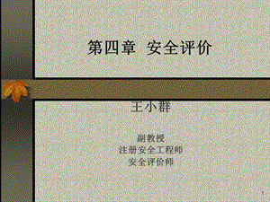 安全管理(第四章).ppt