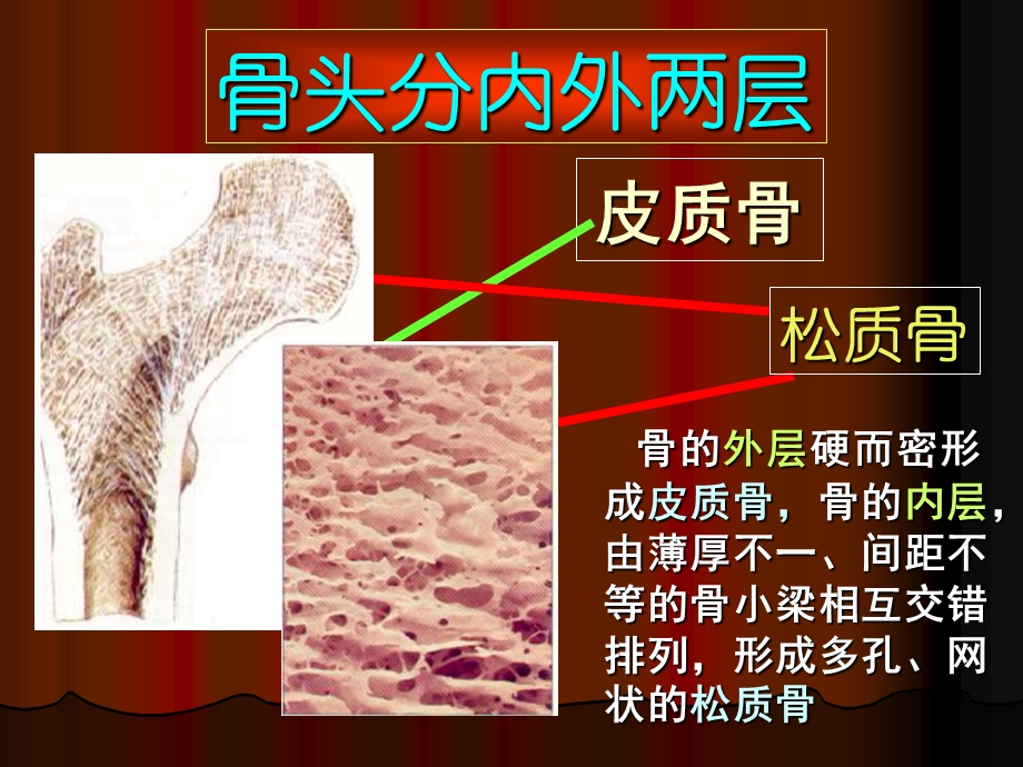 预防骨质疏松绝招.ppt_第2页