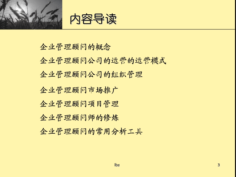 2005121123619189企业管理咨询公司.ppt_第3页