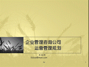 2005121123619189企业管理咨询公司.ppt