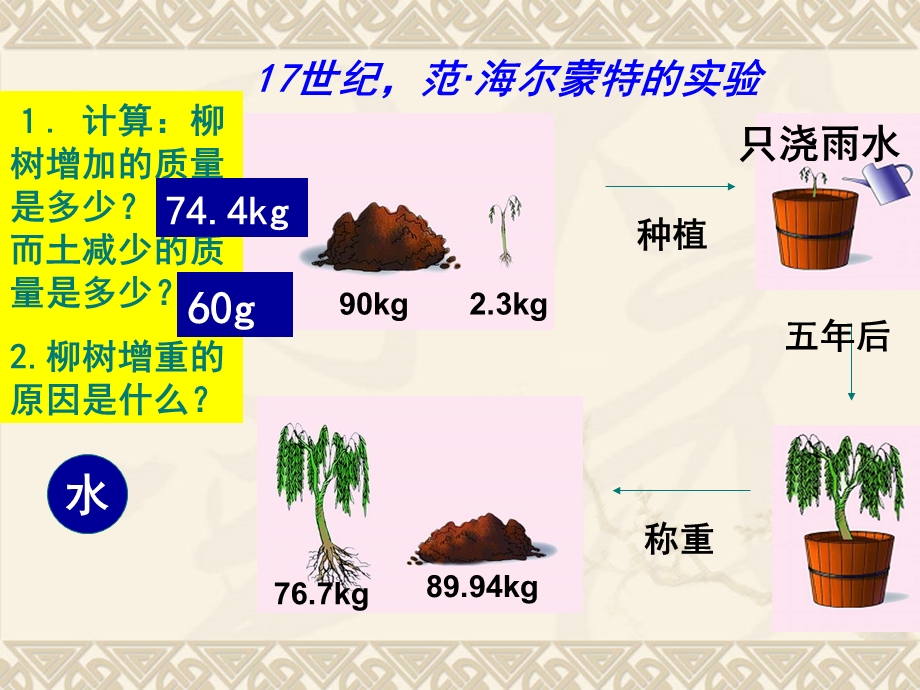 四章绿色植物是有机物的生产者.ppt_第3页