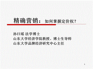 精确营销如何掌握定价权.PPT