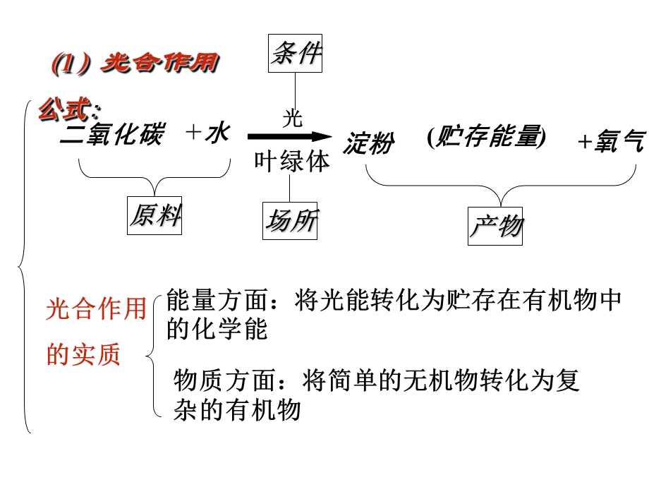 绿色植物的光合作用、呼吸作用专题复习.ppt_第3页