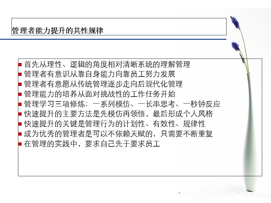 管理者素质模型.ppt_第2页