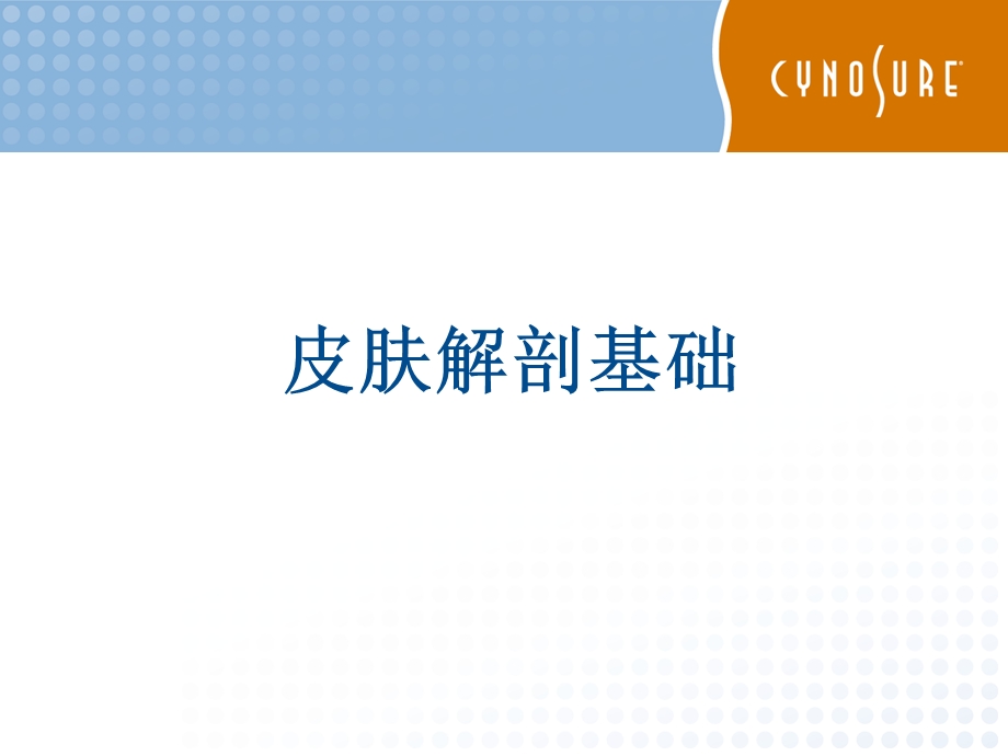 皮肤组织解剖学.ppt_第1页