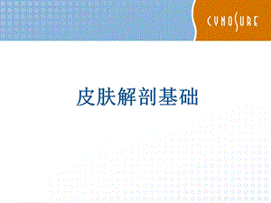 皮肤组织解剖学.ppt