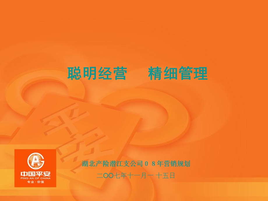 08年潜江支公司发展规划.ppt_第1页