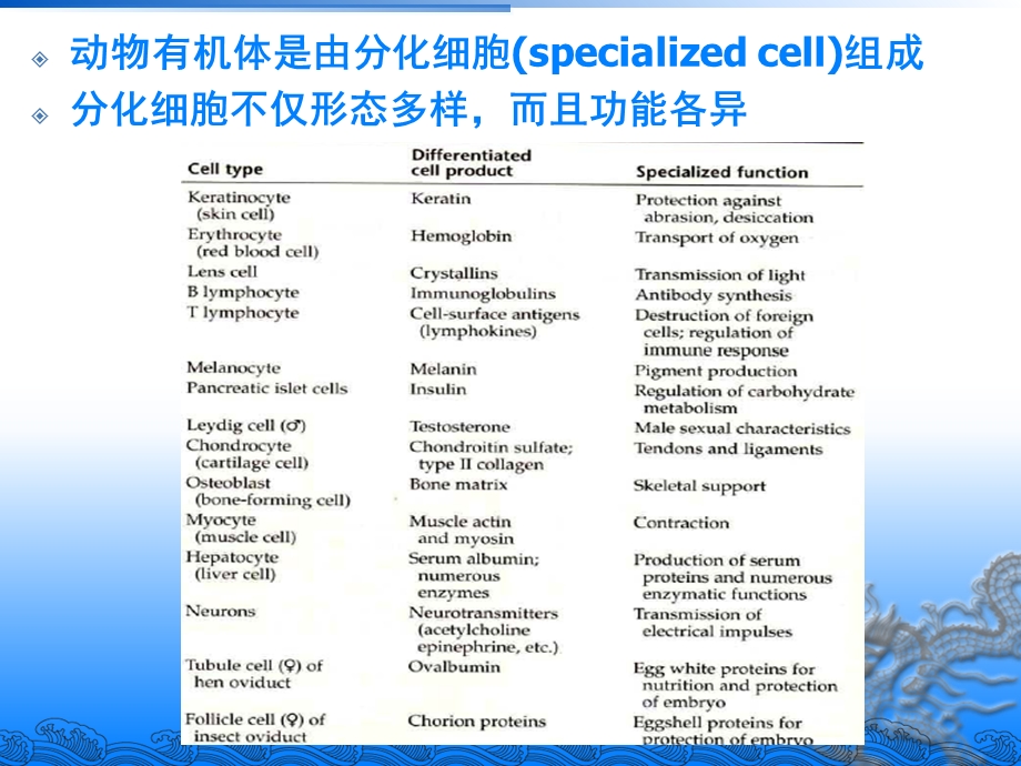 细胞的命运决定.ppt_第2页