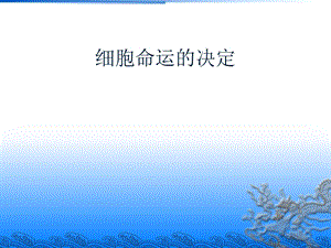 细胞的命运决定.ppt