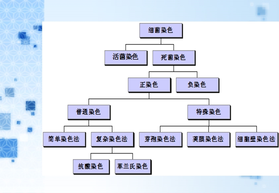 细菌一般染色方法.ppt_第2页