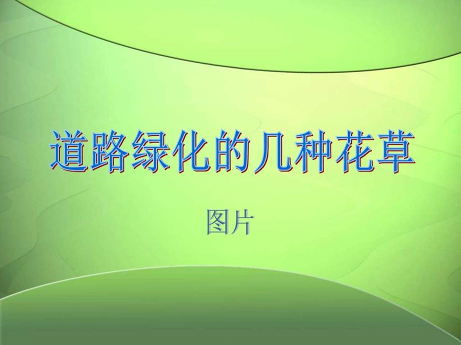 道路绿化花草图文.ppt.ppt_第1页