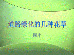 道路绿化花草图文.ppt.ppt