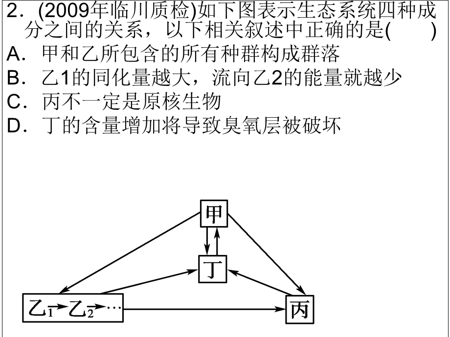 生态系统的成分.ppt_第3页