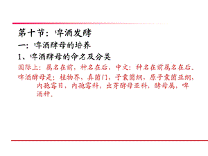 酒精与啤酒工艺学.ppt