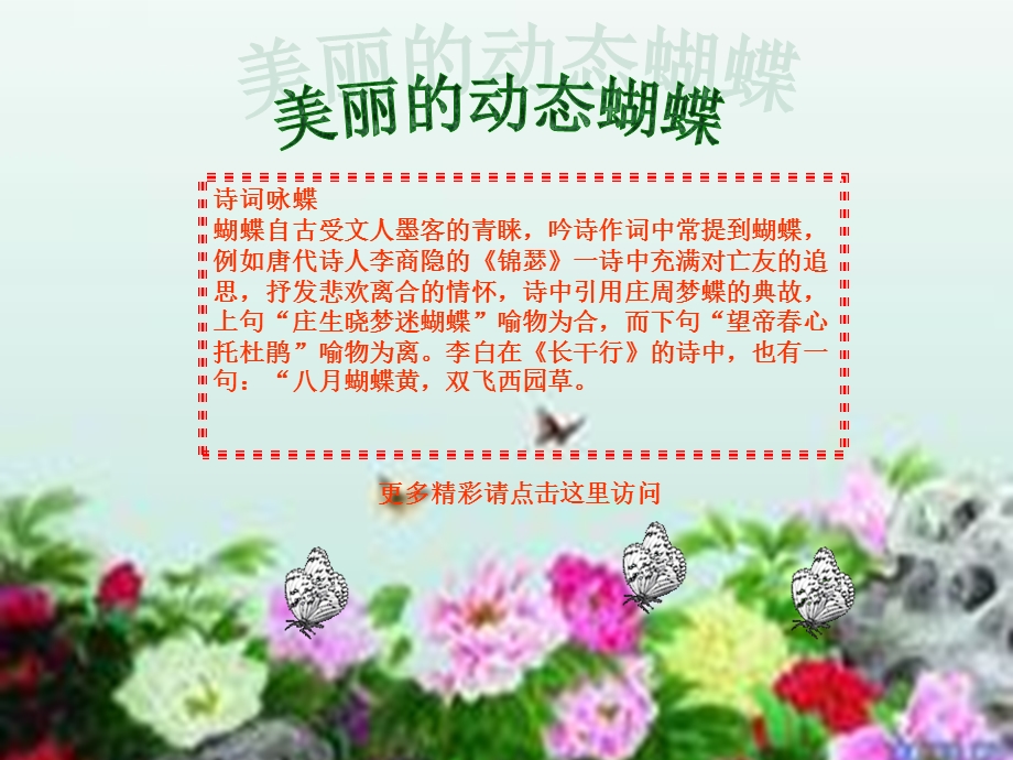 美丽的动态蝴蝶.ppt_第1页