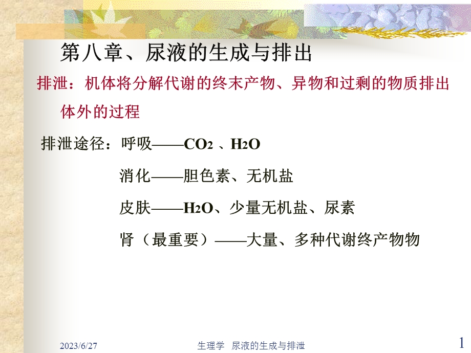 生理学尿液的生成与排出.ppt_第1页