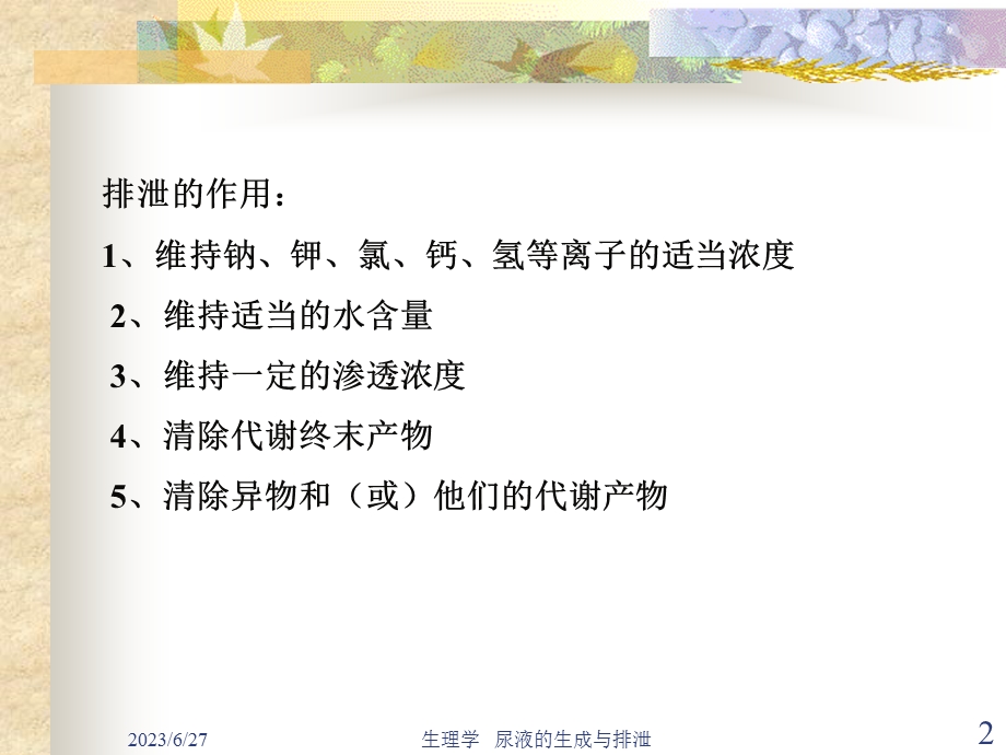 生理学尿液的生成与排出.ppt_第2页