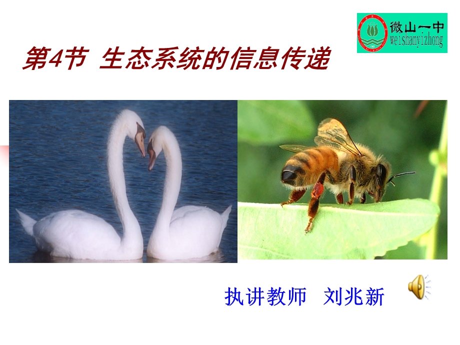 生态系统的信息传递课件市优质课.ppt_第1页