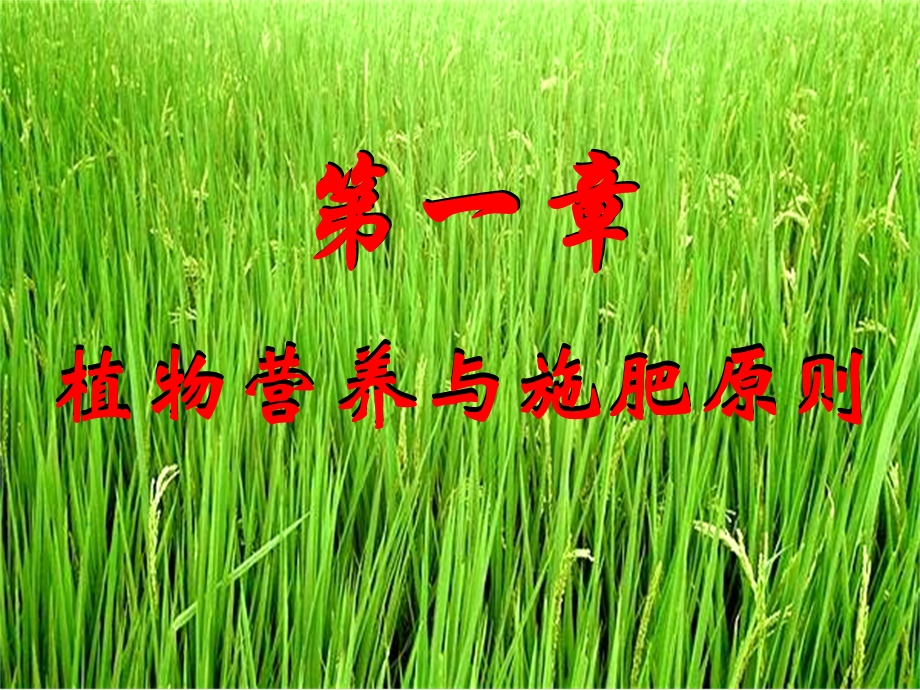 植物营养与施肥原则.ppt_第1页