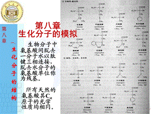 生化分子的模拟.ppt