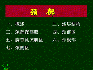 局解课件颈.ppt