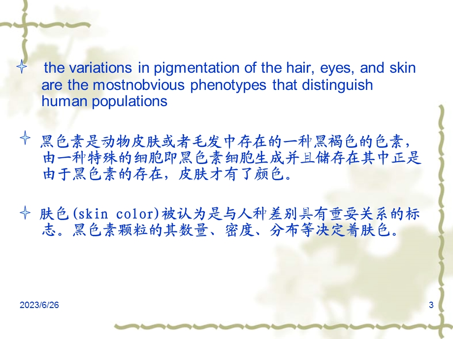 黑色素及其代谢调节.ppt_第3页