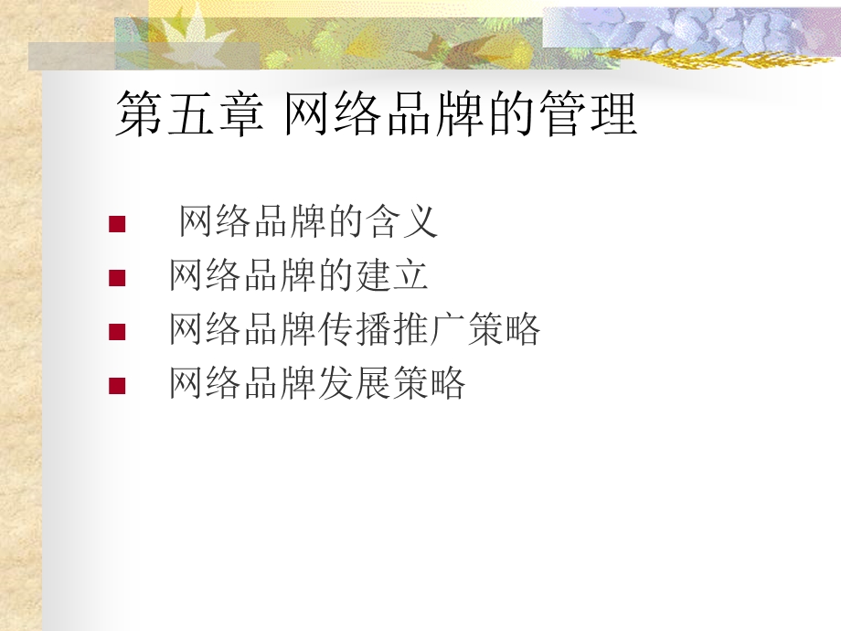 网络品牌的管理.ppt_第1页