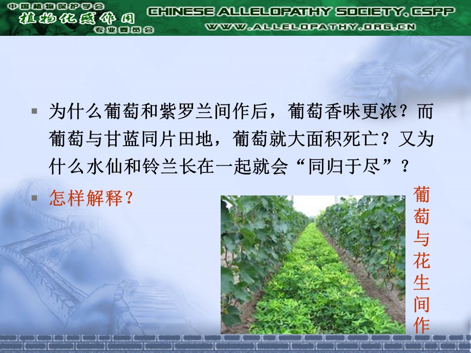 植物的化感作用与应用.ppt_第2页