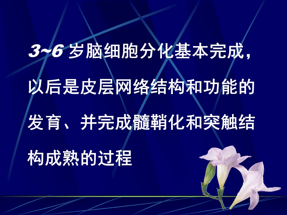 岁儿童营养与饮食行为培育复旦大学附属儿科医院王穗芬.ppt_第3页