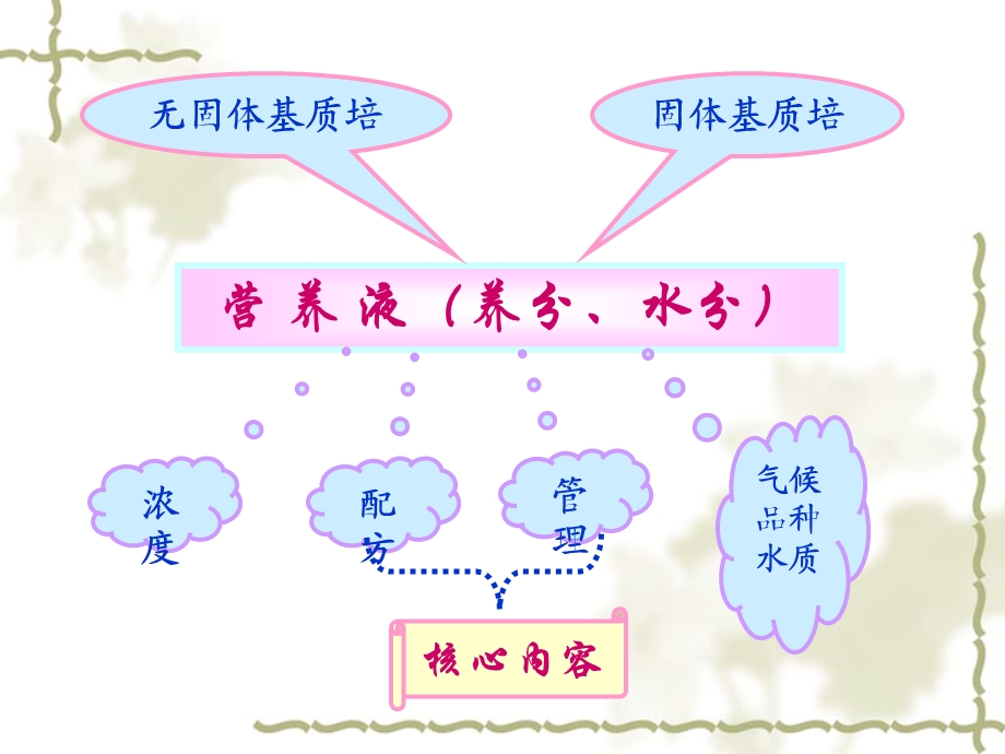 营养液——园艺2005.ppt_第3页