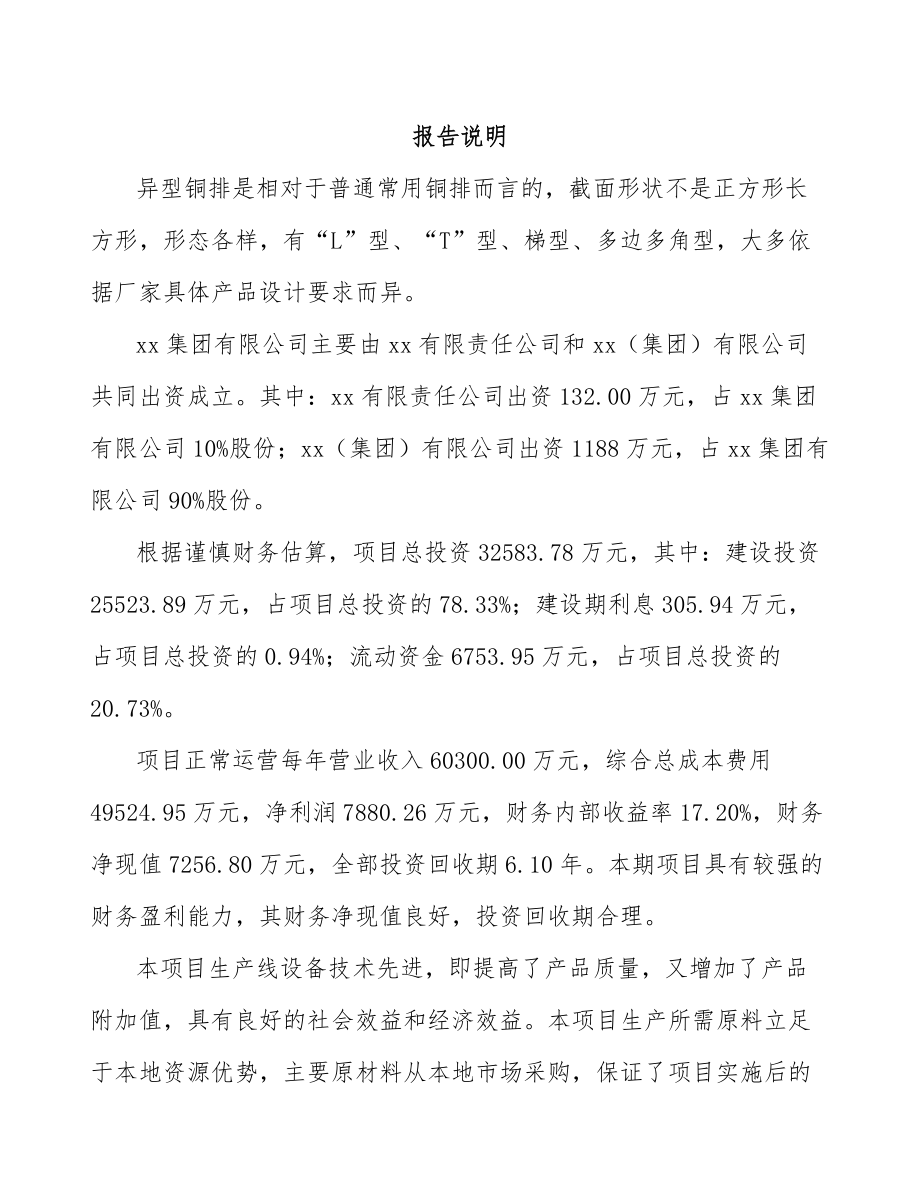 关于成立异型铜排公司可行性研究报告.docx_第2页