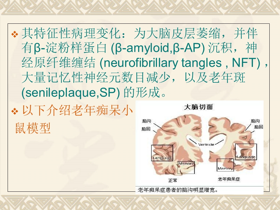 老年痴呆动物模型.ppt_第3页