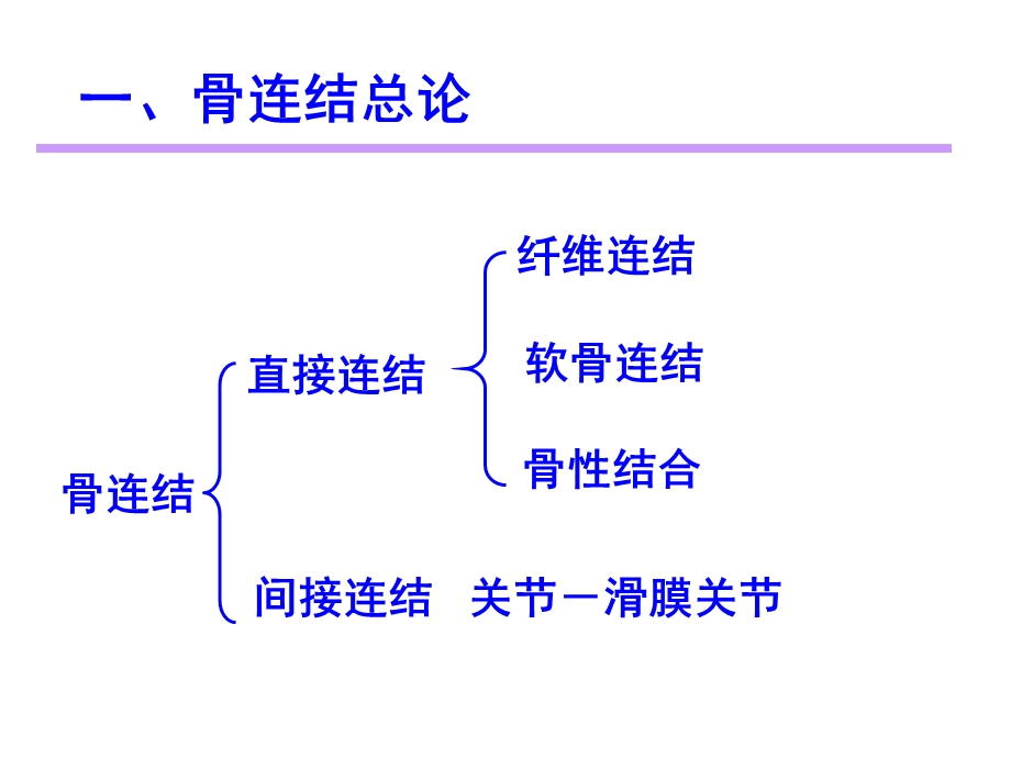 4关节总论躯干骨颅骨连结.ppt_第2页