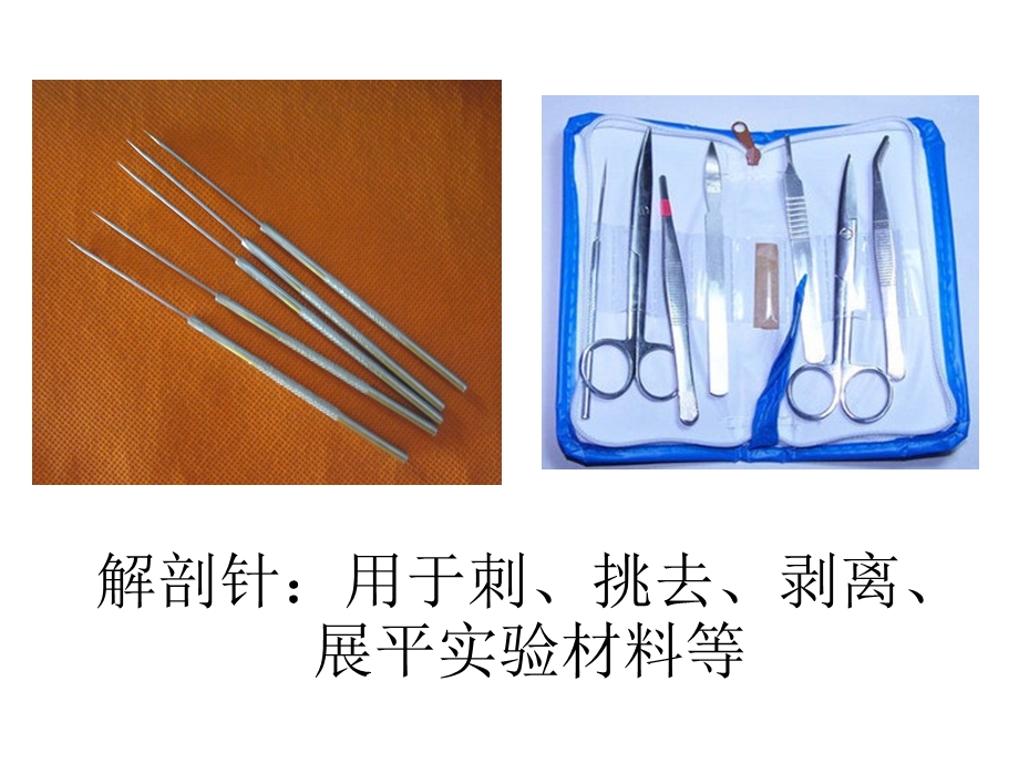 生物实验室中常用的其他实验器具.ppt_第3页