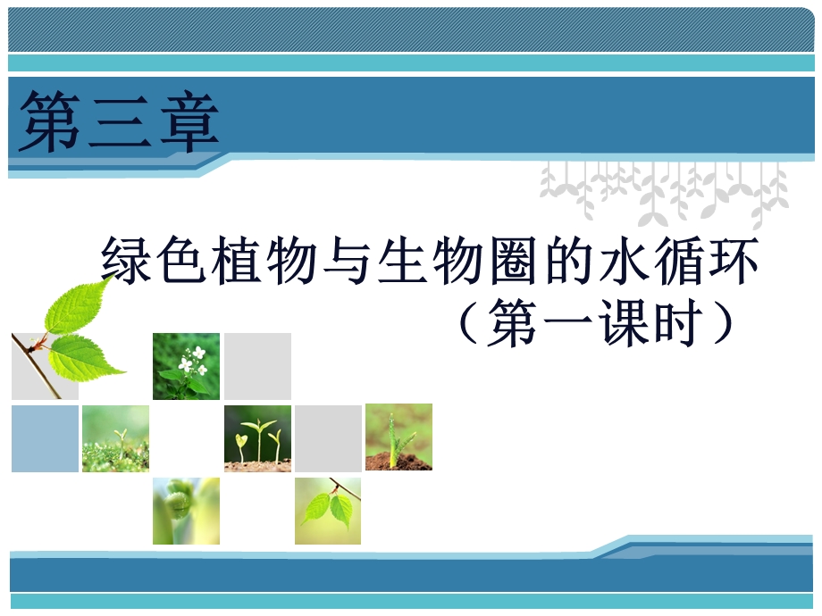 植物对水分的吸收和运输.ppt_第1页