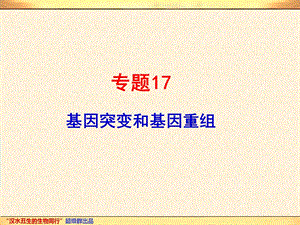 专题17基因突变和基因重组.ppt