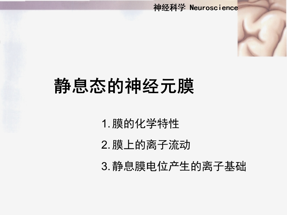 神经元的电活动.ppt_第3页