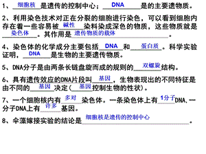 遗传变异复习第二课时.ppt