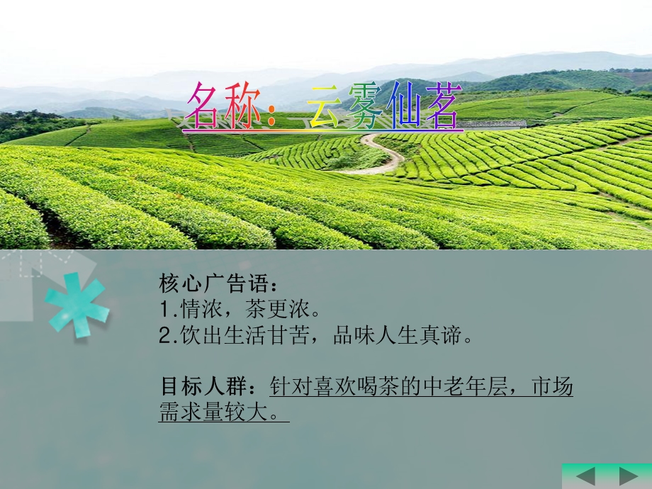 茶叶营销策划方案权龙陈宇斌.ppt_第2页