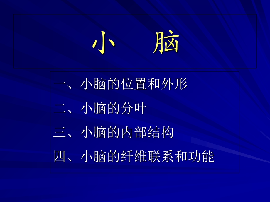 解剖学小脑间脑.ppt_第2页